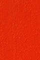7 Agatha Orange