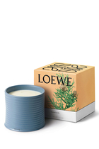 Blue Cypress Scented Candle