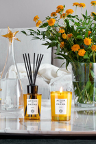 Insieme Diffuser