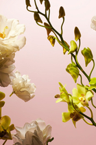 Fleurs de l`Himalaya Eau de Parfum
