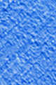 Bleuet