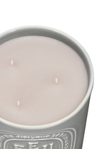 Feu de Bois Candle
