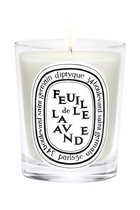 Feuil De Lavande Candle