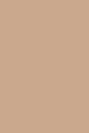Sandy Beige In Paris