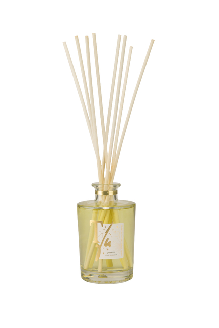 Joyful Diffuser