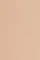 Matte 2N