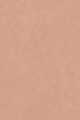Extra Light Bisque