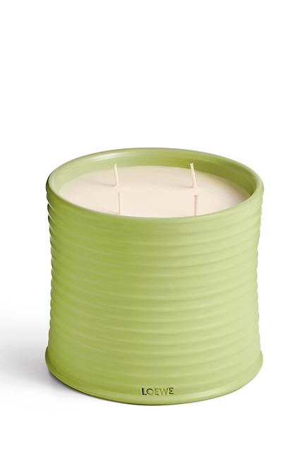 Cucumber Scented Candle