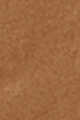 Chestnut