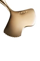 Ginkgo Gua Sha