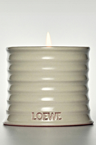 Small Mushroom Candle