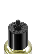 Apple Brandy - On The Rocks Perfume Refill