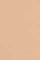 Warm Beige