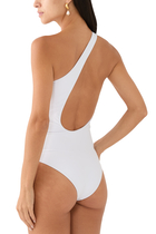 Evolve One Piece