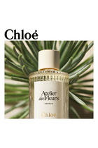 Atelier des Fleurs Magnolia Alba Perfumed Hand Cream