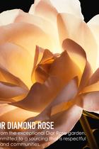 Dior Prestige La Crème Texture Riche