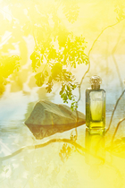 Le Jardin de Monsieur Li, Eau de toilette