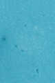 Turquoise/Aqua