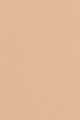 Warm Beige
