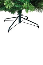 Nevada Fir Tree