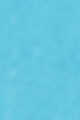 Turquoise/Aqua