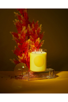 Disco Candle - Blood Orange + Santal