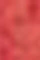 N°06 Flanelle Rubis