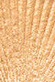 01 Warm Gold