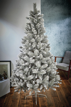 Snow-Tipped Fir Tree