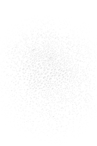 Brume De Beauté Beauty Mist