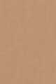 DARK BISQUE