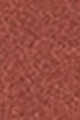 784 Praline Nude