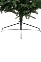 Glenshee Spruce Tree