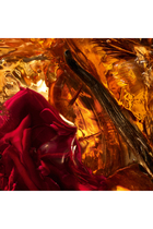 Absolus Allegoria Ambre Samar Eau de Parfum