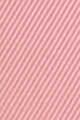 N°28 Rose Plume