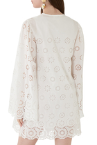 Long-Sleeve Mini Dress in Cotton Voile