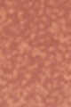 110 Milky Nude