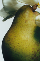 English Pear and Freesia Body and Hand Wash