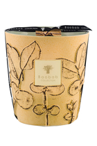 Max 16 Folia Garrigue Scented Candle