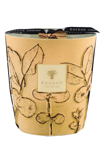 Max 16 Folia Garrigue Scented Candle