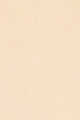 2N1 Desert Beige