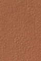 4 Carol Beige