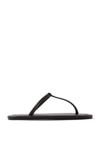 T Slides