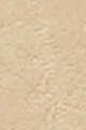 Cool Ivory