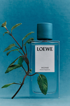 Incense Room Spray