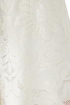 Muses Lace Shorts