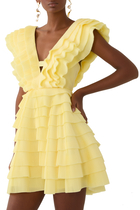 Reflection Mini Dress