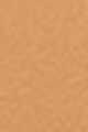3Y40 Warm Amber