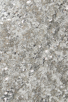 Mame Sequin Pants