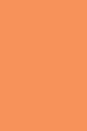 314 Sadie Coral